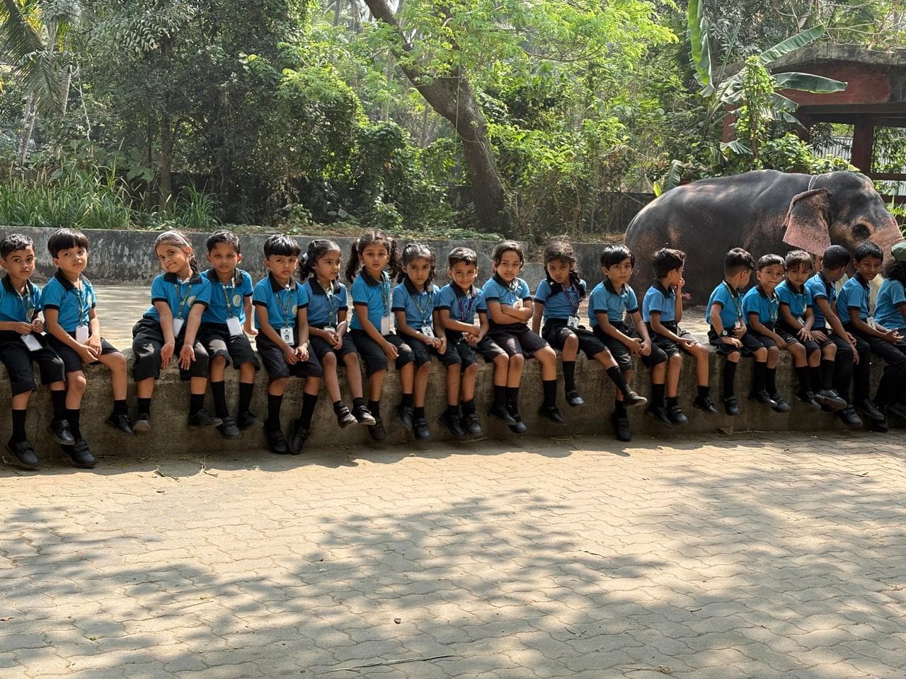 Early Childhood Development